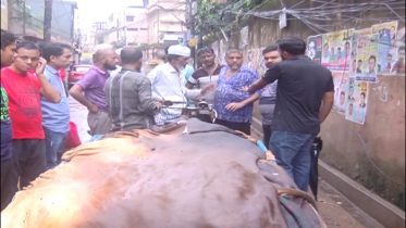 চামড়া বাজারে নৈরাজ্য, পাল্টাপাল্টি অভিযোগ (ভিডিও)