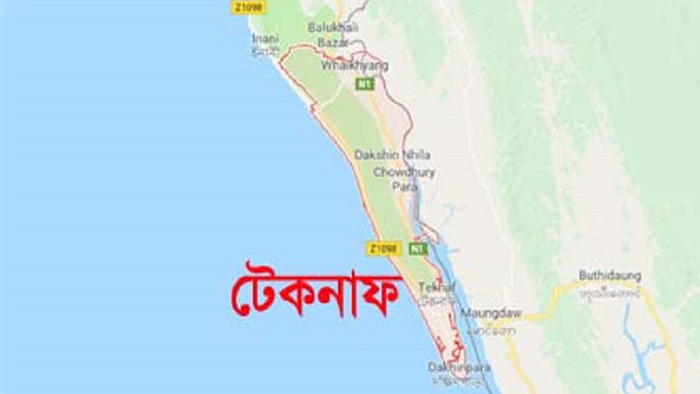 টেকনাফে বন্যহাতির আক্রমণে নিহত ১