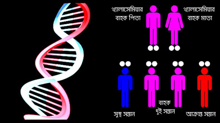 ভবিষ্যৎ সন্তানের সুস্থতার জন্য বিয়ের পূর্বে রক্ত পরীক্ষা করুন