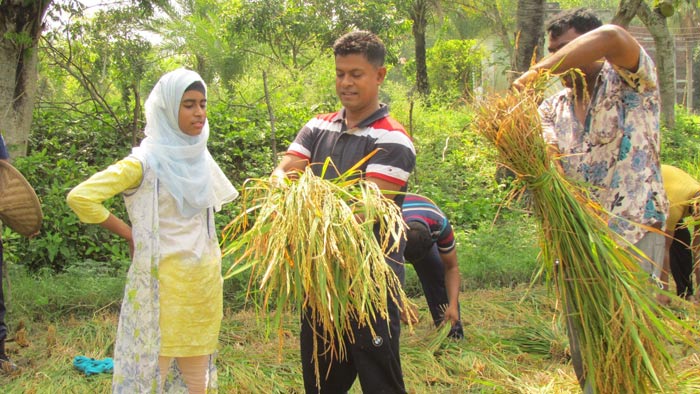 সোনালি ধান কাটলেন নড়াইলের পুলিশ সুপার