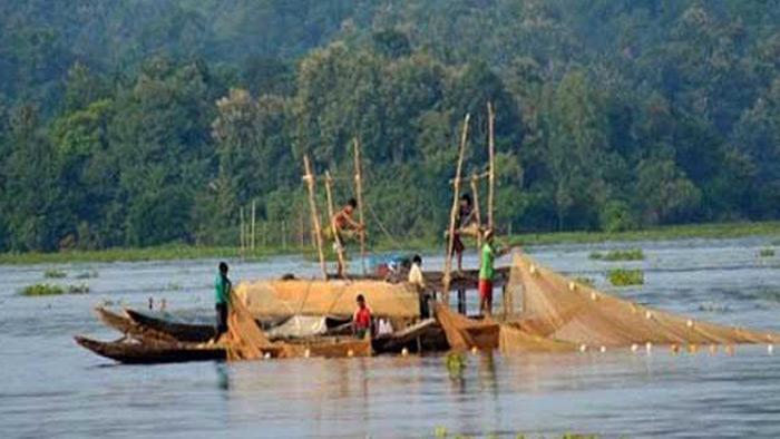 কাপ্তাই হ্রদে মাছের খনি