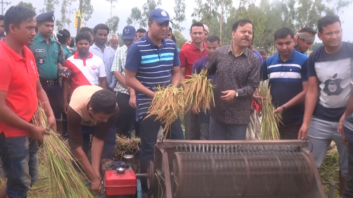 এবার কৃষকের ধান কেটে দিলো পুলিশ