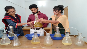 চা ও মাছের বর্জ্য থেকে মিলবে জ্বালানী ও সার