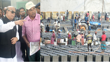 চ্যালেঞ্জ মোকাবেলায় শেখ হাসিনার বিকল্প নেই: নাসিম