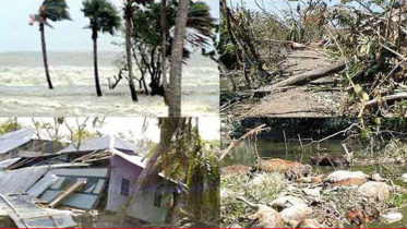 আজ সেই ভয়াল ১২ নভেম্বর 