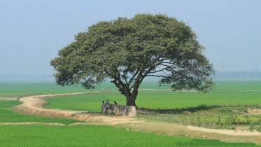 আজ আবহাওয়া শুষ্ক থাকবে