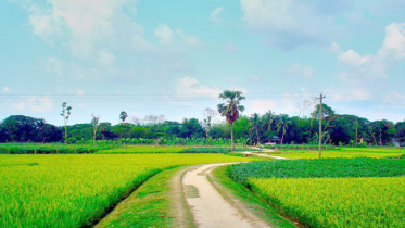 আবহাওয়া প্রধানত শুষ্ক থাকবে