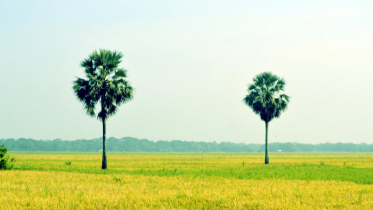 দিনের তাপমাত্রা অপরিবর্তিত থাকবে