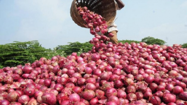 পেঁয়াজের সরবরাহ বাড়ছে, কমছে দাম