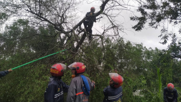 বুলবুল’র তাণ্ডবে বাগেরহাটে ৪৪ হাজার ঘরবাড়ি বিধ্বস্ত, নিহত ২