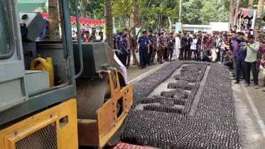কুড়িগ্রামে দেড়কোটি টাকার মাদক ধ্বংস করেছে  বিজিবি