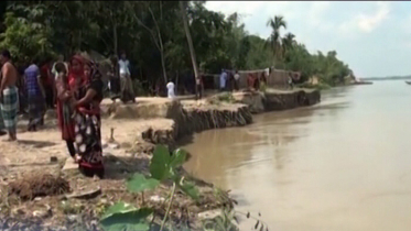 মধুমতি নদীর ভাঙন তীব্র (ভিডিও)