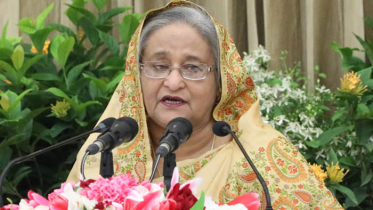 কর আহরণ করে ন্যায়বিচার নিশ্চিত করা কর বিভাগের কাজ: প্রধানমন্ত্রী