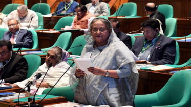 ‘রোহিঙ্গা সমস্যার পেছনে জিয়াউর রহমানের হাত রয়েছে’