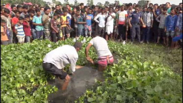 সাভারে অজ্ঞাত যুবকের লাশ উদ্ধার