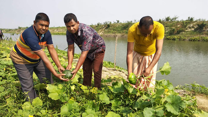 বরেন্দ্র বহুমুখী প্রকল্পের সবজি