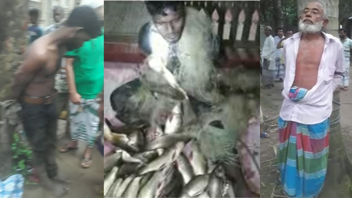 নির্যাতিত মৎস্য চাষি মোশারফ ও মজনু চৌধুরী নির্যাতিত মৎস্য চাষি মোশারফ ও মজনু চৌধুরী