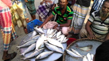 ইলিশ কিনতে মানুষের হুমড়ি খাওয়া ভিড়!