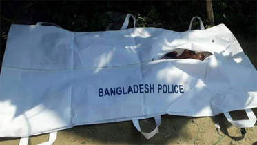 ব্রাহ্মণবাড়িয়ায় অজ্ঞাত ব্যক্তির ৩ টুকরো লাশ উদ্ধার