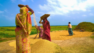 দরজায় কড়া নাড়ছে হেমন্তের হিমেল হাওয়া