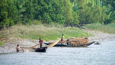 মানুষ মাত্রই ভুল, নিউজ করবেন কেন