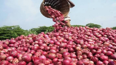 সংকট কাটাতে এস আলম গ্রুপ আনছে ৫০ হাজার টন পেঁয়াজ