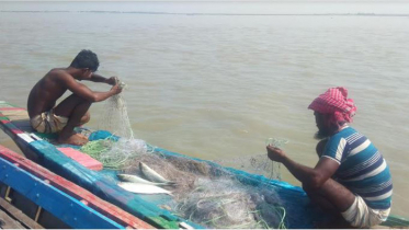 যমুনায় অর্থের বিনিময়ে ইলিশ ধরার প্রতিযোগীতায় জেলেরা