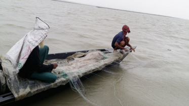 নিষিদ্ধ মৌসুমেও ইলিশ ধরার ধুম, কঠোর হুঁশিয়ারি ডিসির