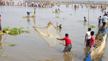 বুড়ির বাঁধে মাছ শিকারের মহোৎসব, মানুষের ঢল