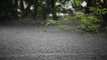 মাঝারী ধরনের ভারী থেকে ভারী বর্ষণ হতে পারে