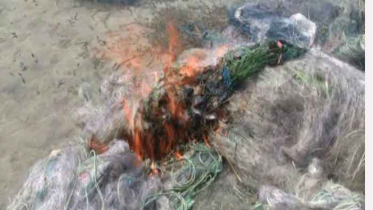 নিষিদ্ধ সময়ে ইলিশ ধরার দায়ে ২১ জেলেকে কারাদন্ড