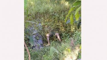 সুবর্ণচরে ডোবায় যুবকের গলিত লাশ উদ্ধার