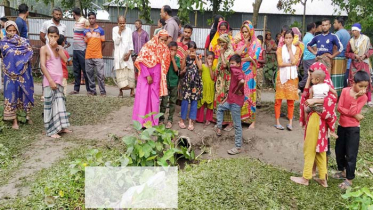 কুড়িগ্রামে পুকুর পাড়ে মিলল খণ্ডিত কাটা পা