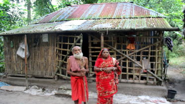 নড়াইলে বৃদ্ধ দম্পতিকে মারধর করে গরু লুটের অভিযোগ