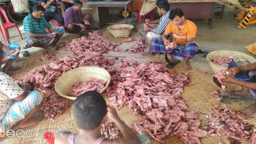 নোবিপ্রবির ভর্তিচ্ছুদের থাকা-খাওয়ায় বিশাল আয়োজন