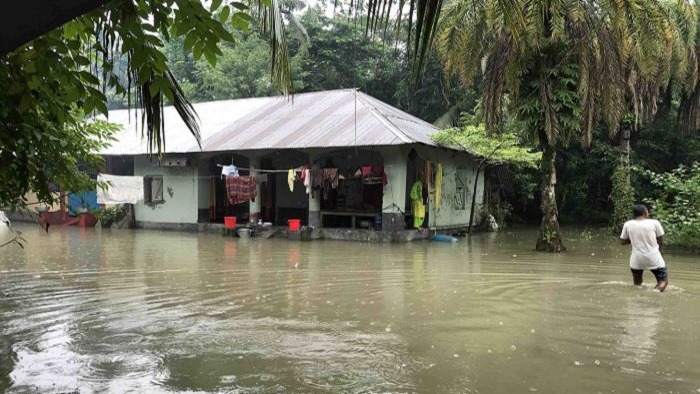 ফাইল ছবি