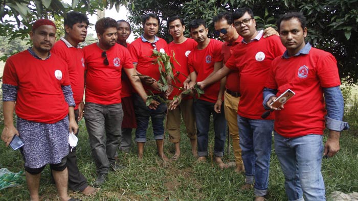 সোনারগাঁ এর মায়া দ্বীপে বৃক্ষরোপন করছে ল্যাম্প সদস্যরা।