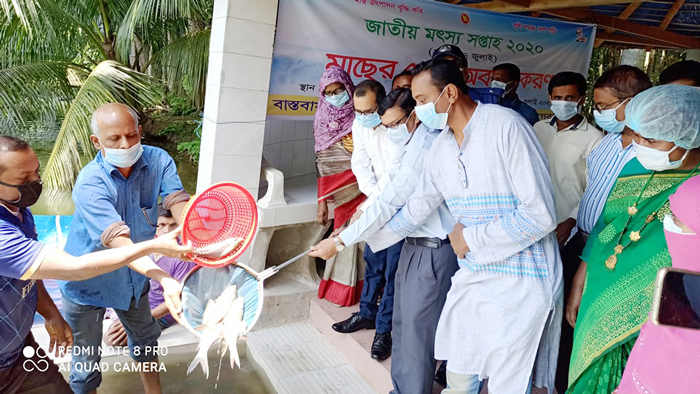 মাছের পোনা অবমুক্ত করেন জেলা প্রশাসক মোঃ মামুনুর রশীদ।