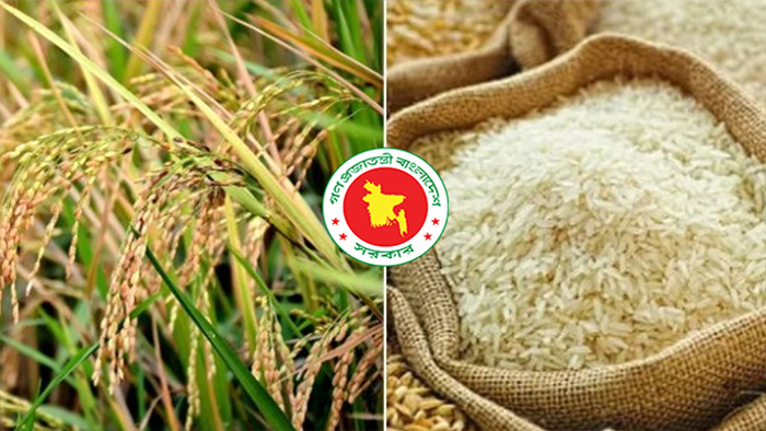 ৩৬ টাকা কেজিতে ধান, ৪৯ টাকায় চাল কিনবে সরকার