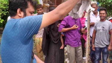 কুষ্টিয়ায় রাসেলস ভাইপারের কামড়ে দুইজনের মৃত্যু  