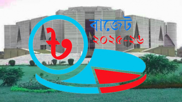 সংসদবিহীন বাজেট কীভাবে পাস হবে?
