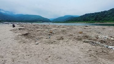 লুট হওয়া সব পাথর আগের জায়গায় ফেলতে হাইকোর্টের নির্দেশ 