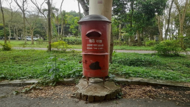 চিঠি আর ডাকবক্সের নীরব সাক্ষী