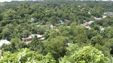 জঙ্গল সলিমপুর: সন্ত্রাসীর নামে শতকোটি টাকার খাস জমি রেজিস্ট্রি!