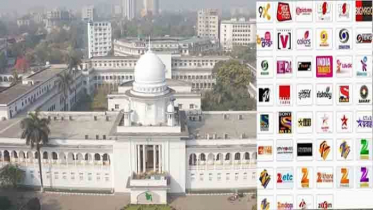 ভারতীয় চ্যানেল বন্ধের রিট শুনানি কাল