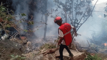 কেনিয়ায় হেলিকপ্টার বিধ্বস্ত, নিহত ৭ কেনিয়ায় হেলিকপ্টার বিধ্বস্ত, নিহত ৭