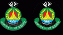 আনুষ্ঠানিকভাবে যাত্রা শুরু করল এসআরবি