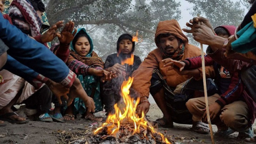 দেশজুড়ে জেঁকে বসেছে হাড়কাঁপানো শীত