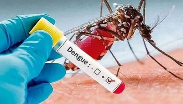 ডেঙ্গুতে একদিনে আরও ৪ মৃত্যু