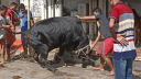 দুইদিনে কোরবানি দিতে গিয়ে আহত ৬৪১ জন